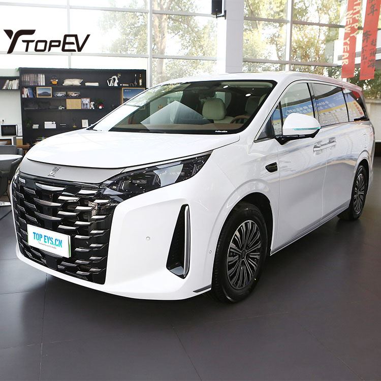 BYD Xia DM-i 2025 180KM Business Auto